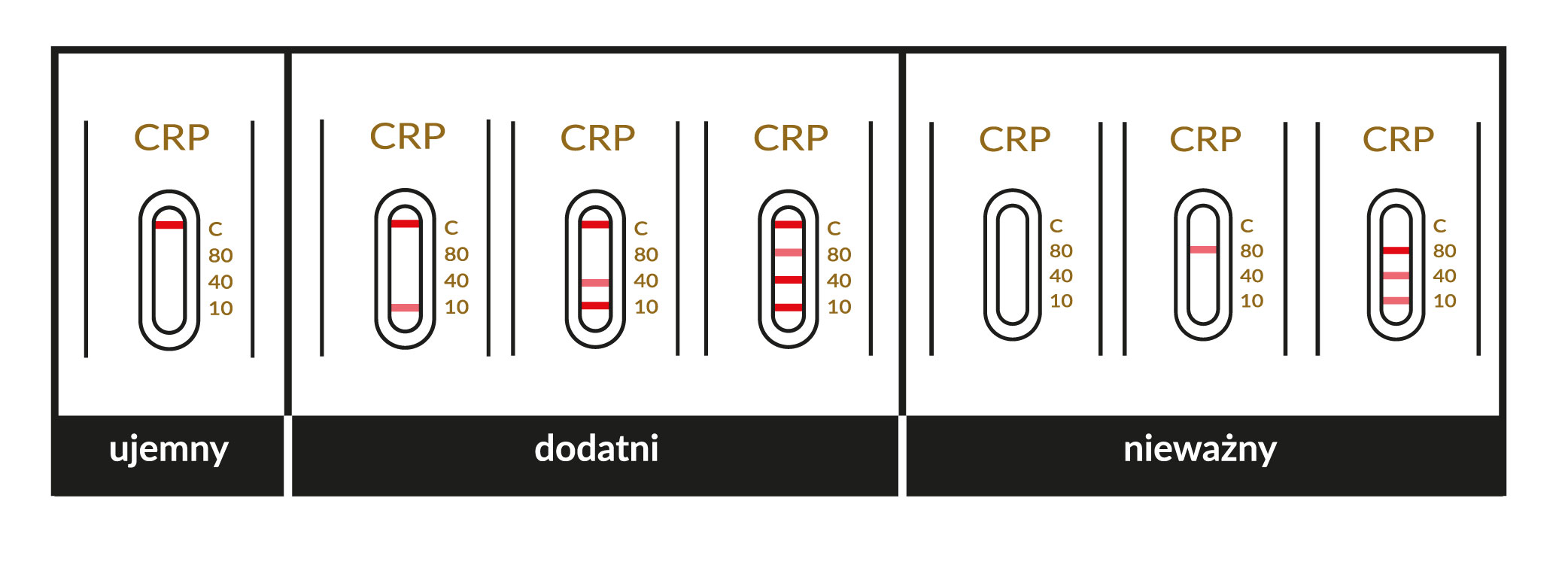 Файл crp как открыть